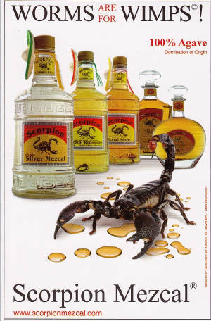 scorpionmezcalracingteam.jpg